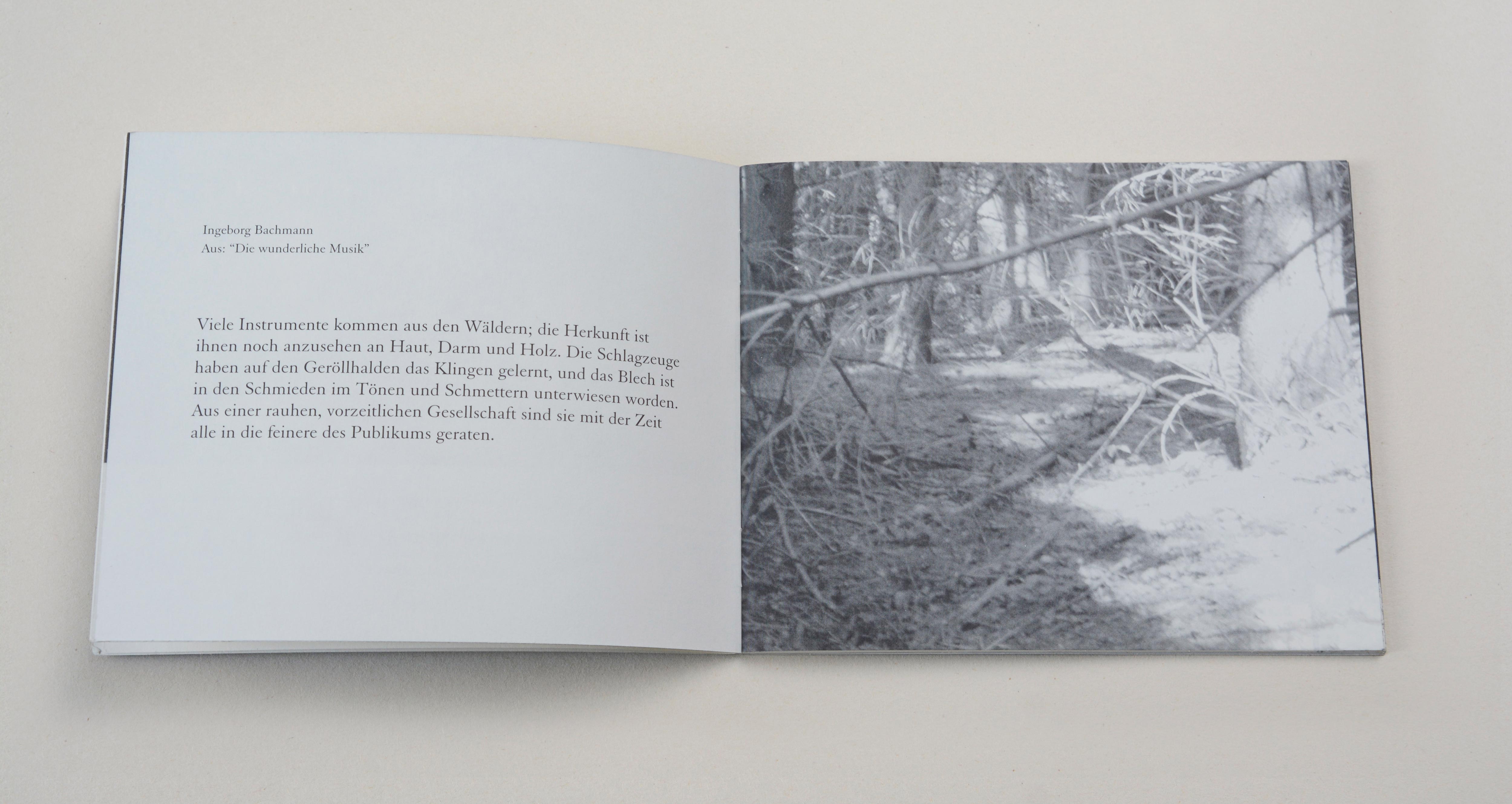Double page. Left: Block of text. Right: Full-page b/w image. Inside the forest.