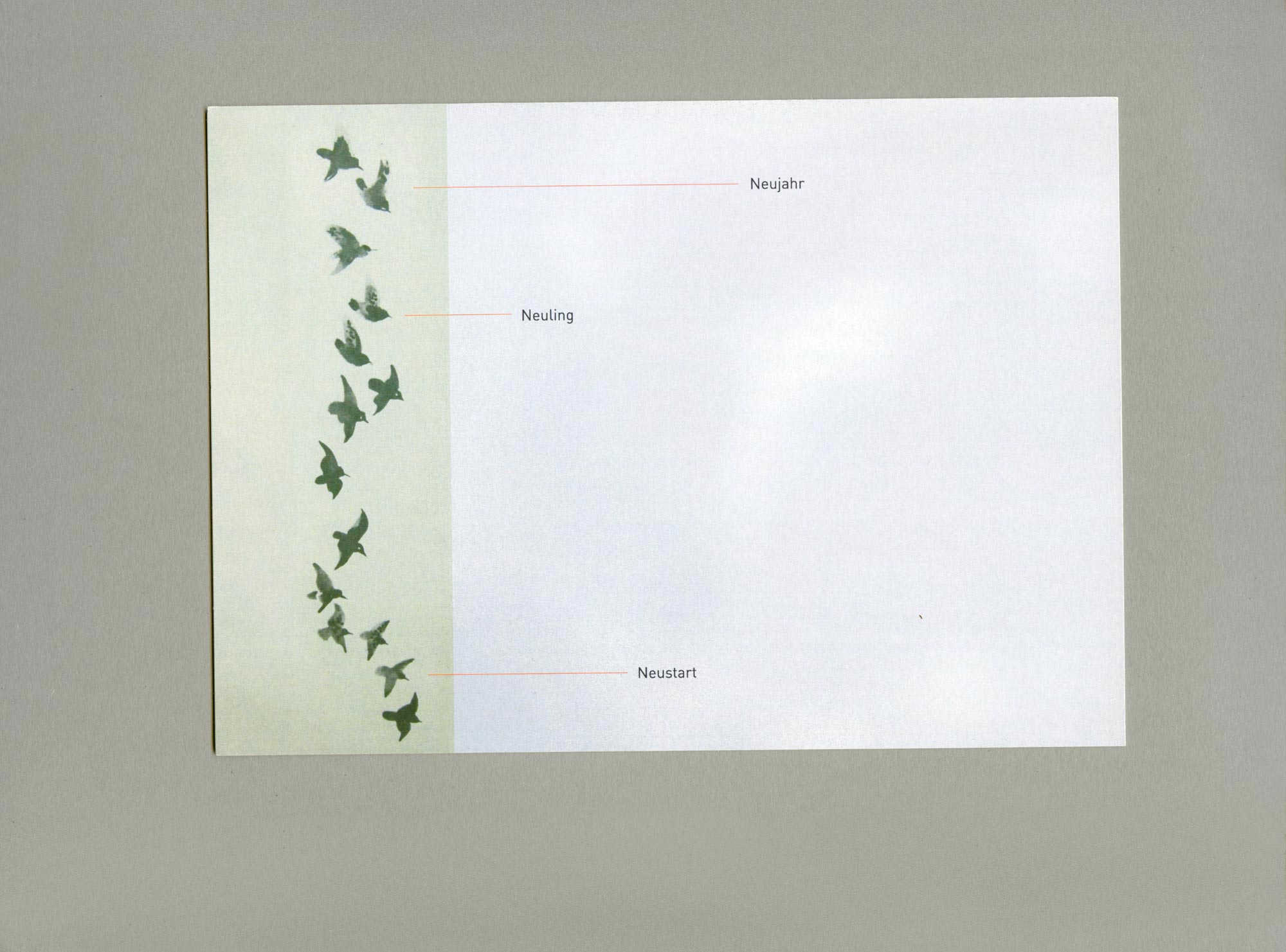 Aquarell Illustration. A row of birds. Small notations on the side.