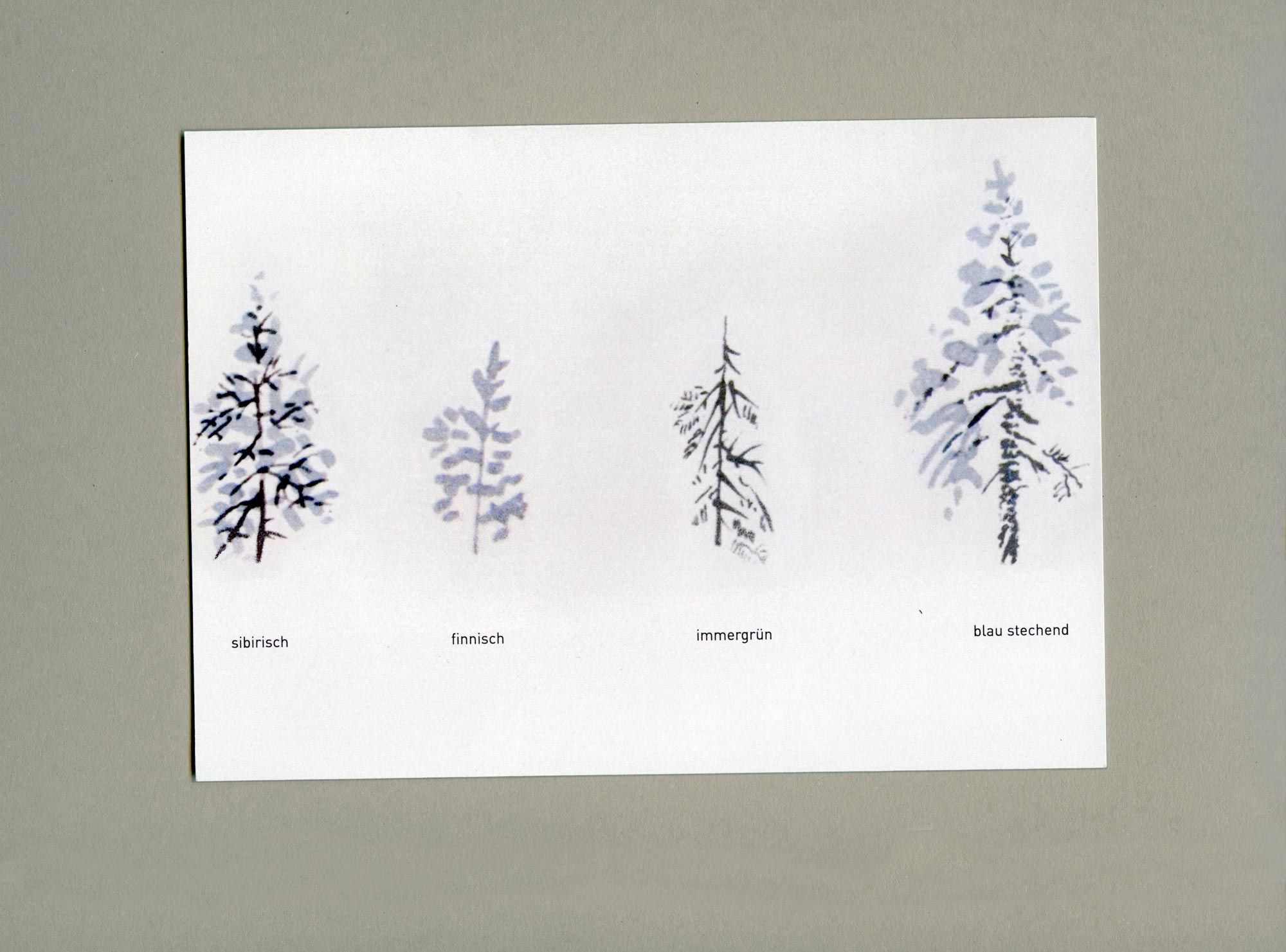 Aquarell Illustration. 4 different trees. A word under each tree.