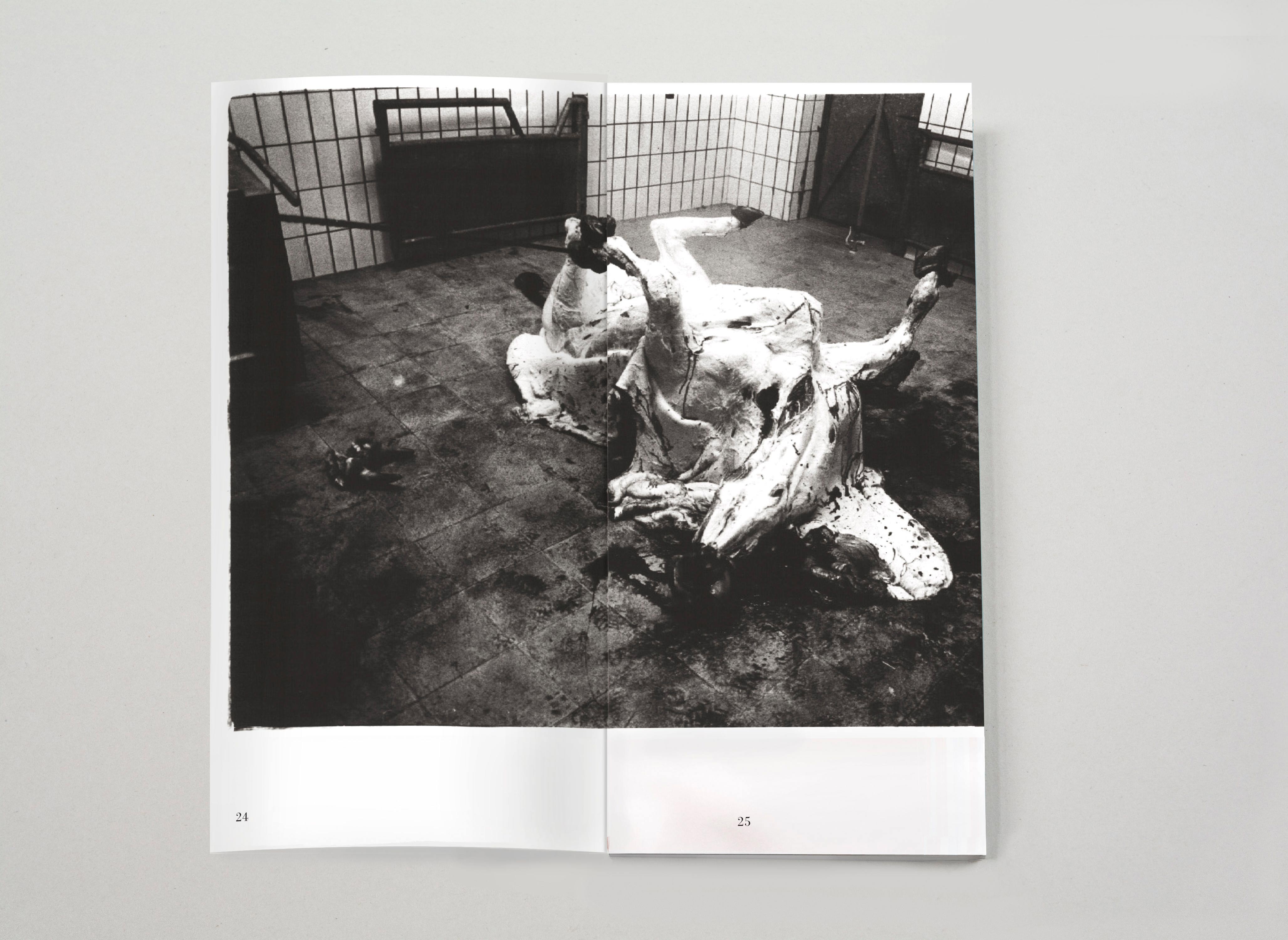Double page. Photo of slaughtered cow spreading over both pages.