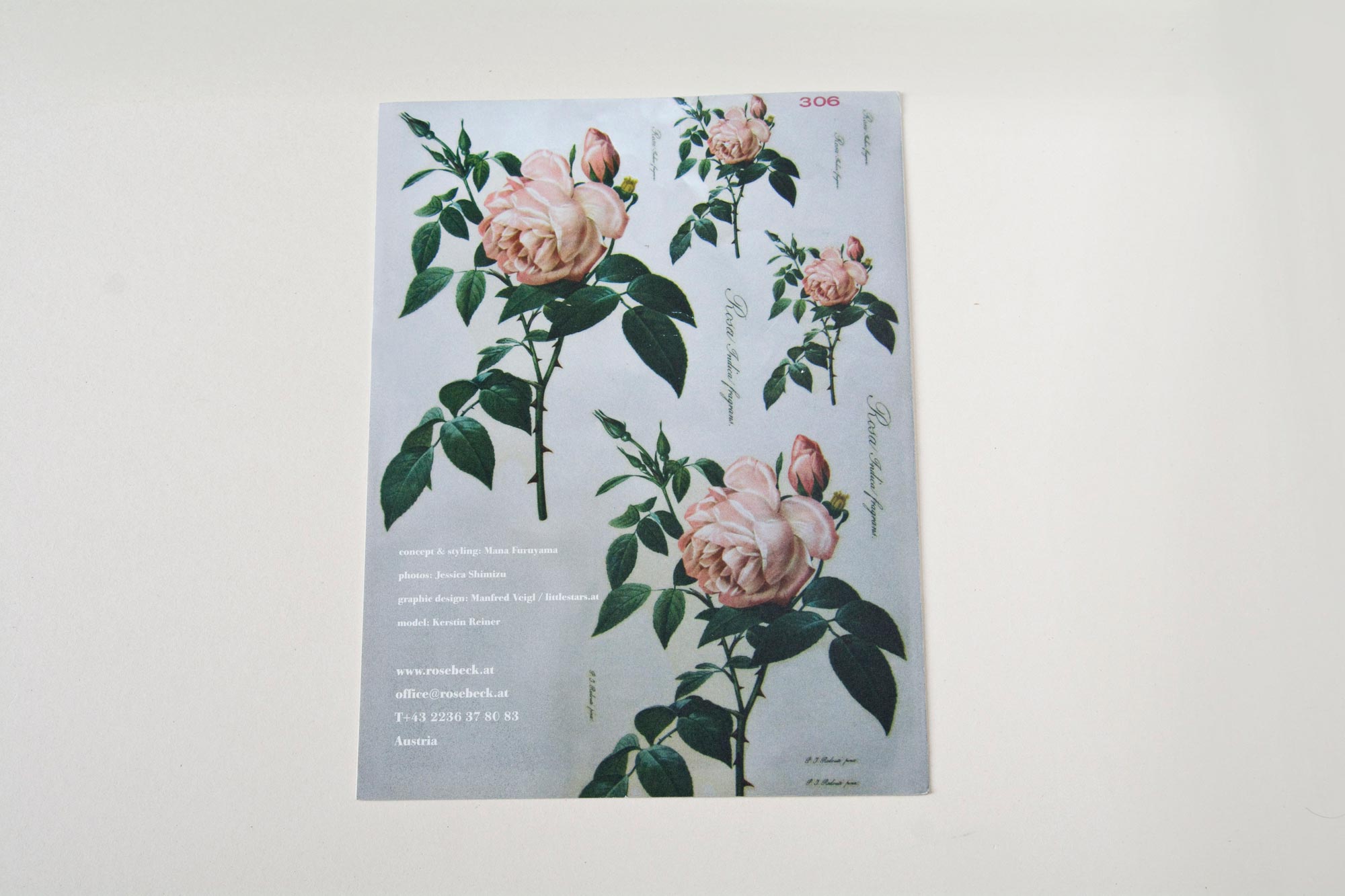Cover back. Illustration of rose-flowers. Text in between.